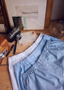 Rodney Boxers
